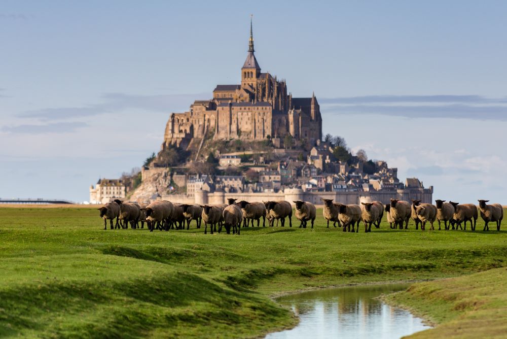 NormandieSaintMichel26