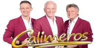 Weihnachtskonzert mit den Calimeros