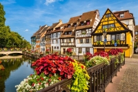 Elsassfahrt - Weinstrasse / F